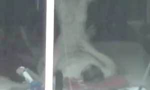 プリント柔らかいお尻妻 女の子 の アダルト ビデオ