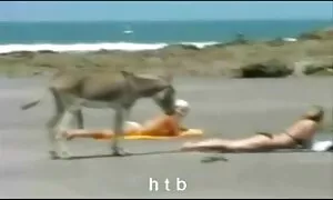 二つのレズビアン代与えます各その他切望orgasms 女性 クンニ 動画