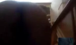 Busty女の子licksボーイフレンド筋肉コック 女性 向け av 無 修正